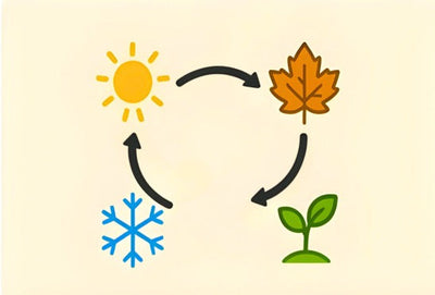 Importance of Season Based Formulations