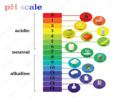 Significance of pH Value