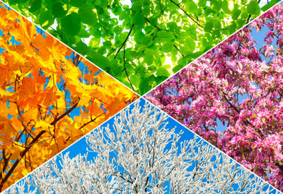 Importance of Season Based Formulations